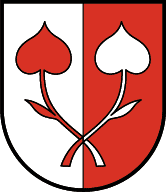 Gemeinde Hochfilzen Wappen